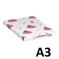 富士フイルムビジネスイノベーション　Ncolor　081　A3　81g/m2　GAAA1879（わけあり品）