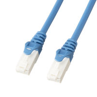 LANケーブル　CAT6A 青 Amazon.co.jp: サンワサプライ LANケーブル CAT6A(10m) 配線し