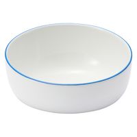 無印良品 磁器 ペット用フードボウル 小 ブルーライン 良品計画