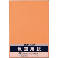 リンテック 色画用紙 ニューカラーR 四切 みかん NCR2374 1包