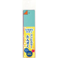 ササガワ 七夕飾り フィルム短冊・大 (穴アキ) 46-6128 1セット