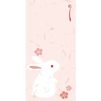 ササガワ のし袋 縁起もん 万型 兎 5-3882 1冊(3枚)