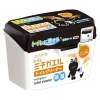 大王製紙 ミチガエルトイレクリーナー 本体 4902011730739 1個(10枚)
