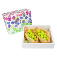 ベジテック 長野県産 シャインマスカット 2房 約1.0kg(貯蔵) vege234 1ケース(2房)（直送品）