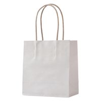 パックタケヤマ 紙手提袋 STジェラート