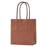 パックタケヤマ STジェラート ココア XZT68337 1袋(10枚)