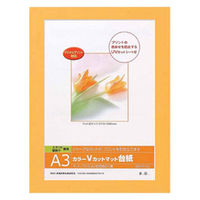 【アウトレット】ナカバヤシ カラーＶカット台紙Ａ3判／Ｖ DGVMーA3ーO/V オレンジ　1個