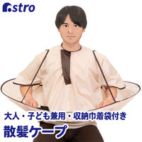 AXg UP[v t [Вt 730-31 1iij