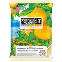 }iCt 蔨B݂ 25g×10×3 4902738270051 1Zbg(3)iij