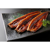 魚魚一 浜名湖産うなぎ 蒲焼セット 1300060082923 1セット（直送品）