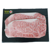 さつま屋産業 宮崎牛ロースステーキ 1300060313737 1セット（直送品）