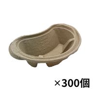 Cg} fBX|K[Ox[X  q ĝ Ɩp  89001047 1(300)iij