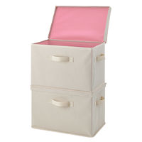 アイメディア フタ付整理箱2個setベージュPK 1010262 1個（直送品）