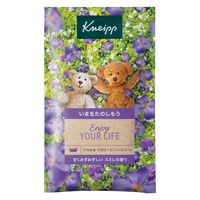 【数量限定】入浴剤 クナイプ バスソルト スミレの香り 分包 50g 1包 クナイプジャパン