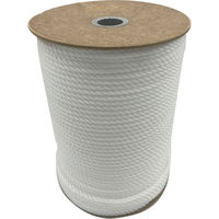 ゼット学校体育 ラインロープ6mmφ ホワイト ZK1906 1セット(1本入×1)（直送品）