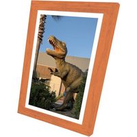 ブレイン 飾るアート非常用トイレ(大)10回分+アートポスター12種セット Aタイプ BR-ATT200-A 1セット(4個)（直送品）