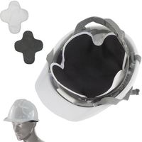 ブレイン ラディクール放射冷却ヘルメットインナーパッド BRA-60002 1個 611-5034（直送品）