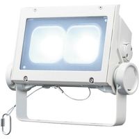 岩崎電気 岩崎 LED投光器(80クラス、超広角タイプ、昼光色タイプ) ECF8040SW/DSAN8/W 1台 406-2422（直送品）