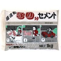 家庭化学工業 超速乾30分セメント グレー 1KG KK-035 1セット(10kg:1kg×10袋) 493-7250（直送品）