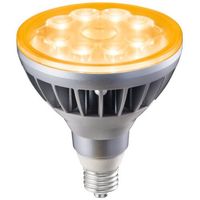 専用ページです！！岩崎 LEDアイランプ 11W 2個セット レディオック LEDアイランプ ＆適合ホルダ （お得なセット商品