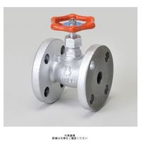 桑名金属工業 HM10K FD マレブル汎用ジスク入玉形弁【フランジ・強化PTFE】 10A HM10KFD 1個（直送品）