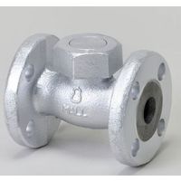 桑名金属工業 M16K FC マレブルリフト逆止弁【フランジ】 25A M16KFC 1個（直送品）