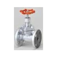 桑名金属工業 M10K FDI マレブルジスク入玉形弁【フランジ・強化PTFE・内ねじBB】 32A M10KFDI 1個（直送品）