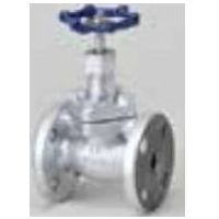 桑名金属工業 M10K FGI マレブル玉形弁【フランジ・内ネジBB・HF】 32A M10KFGI 1個（直送品）