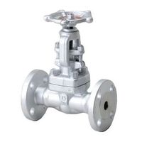 桑名金属工業 プロテリアルT150FGC鍛鋼製ネジ締逆止弁(JPIー7Sー57準拠A105・F型JPI150) 25A T150FGC 1個（直送品）