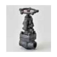 桑名金属工業 T800WG1鍛鋼製玉形弁(JPIー7Sー57準拠・本体材質A105・接続SW) 25A T800WG1 1個（直送品）