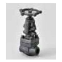 桑名金属工業 プロテリアルT800WGC1鍛鋼製ネジ締逆止弁(JPIー7Sー57準拠・材質A105接続SW) 15A T800WGC1 1個（直送品）