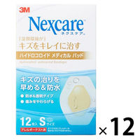 【アウトレット】【Goエシカル】訳あり ネクスケア ハイドロコロイドメディカルパッド Sサイズ 12枚入 1セット（1箱×12）