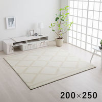 イケヒコ ミエル 柄ボリュームラグ 2500×2000mm アイボリー 1274040143201 1枚（直送品）