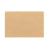 エコデリパック 18-12 未晒無地 1袋（100枚入）