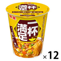 一杯満足 スパイシーカレー味ヌードル 63g 1セット（1個×12） 明星食品