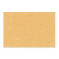 カミイソ産商 テーブルマット 尺3寸 No.339 昇龍紙 おうどいろ 00358800 1袋(100個)（直送品）