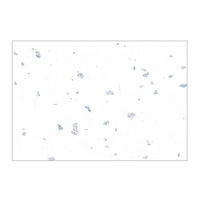 カミイソ産商 テーブルマット 尺3寸 No.329 銀閣 しろいろ 00410738 1袋(100個)（直送品）