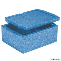 三甲 保存箱 EPボックス#19-3 00475979 1ケース(10個)（直送品）