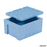 三甲 保存箱 EPボックス#20 00475981 1ケース(10個)（直送品）