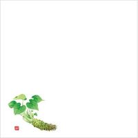 カミイソ産商 敷紙 耐油天紙 5寸 No.0039 山葵 00534702 1袋(100個)（直送品）