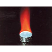 ニイタカ 鍋用固形燃料 カエン エースE 25g (20) 00595182 1ケース(16個)（直送品）