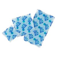 三重化学工業 ケア商品 スノーパック・クール L 00763654 1ケース(5個)（直送品）