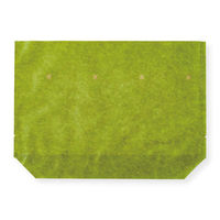 コバヤシ 惣菜袋 KBカラフルデリ2 270×190 緑 00764500 1ケース(2000個(50個×40))（直送品）