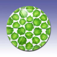 デンカポリマー オードブル容器 オ-ドブル M本体E新レタス 00773707 1ケース(60個(10個×6))（直送品）