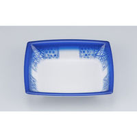 シーピー化成 惣菜容器 TN舟渡15-12 青花本体 025091512A675 1ケース(2100個(50個×42))（直送品）