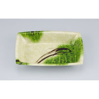 シーピー化成 惣菜容器 TN舟渡18-12 浮草本体 025091812A385 1ケース(1800個(50個×36))（直送品）