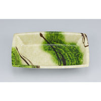 シーピー化成 惣菜容器 TN舟渡20-12 浮草本体 025092012A385 1ケース(1200個(50個×24))（直送品）