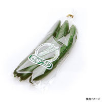 精工 平袋(青果) 新鮮パック きゅうり(小) 3120750800 1ケース(10000個(100個×100))（直送品）