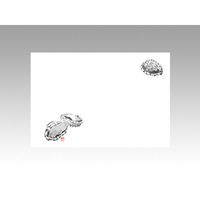 カミイソ産商 テーブルマット 尺3寸 No.105 あわび 71000105 1袋(100個)（直送品）