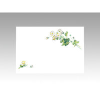 カミイソ産商 テーブルマット 尺3寸 No.254 小菊 72000254 1袋(100個)（直送品）